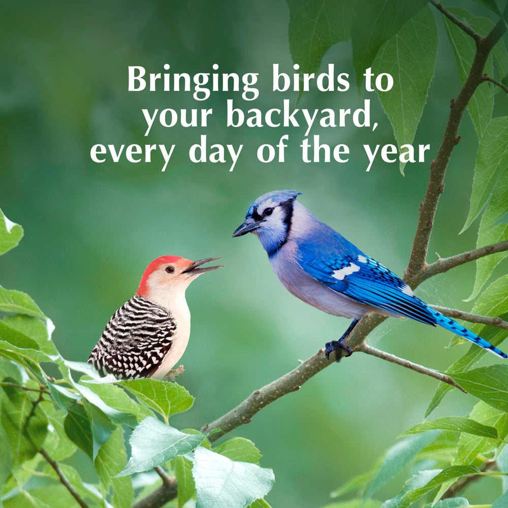 Made in the USA, trusted by wild bird enthusiasts since 1986
