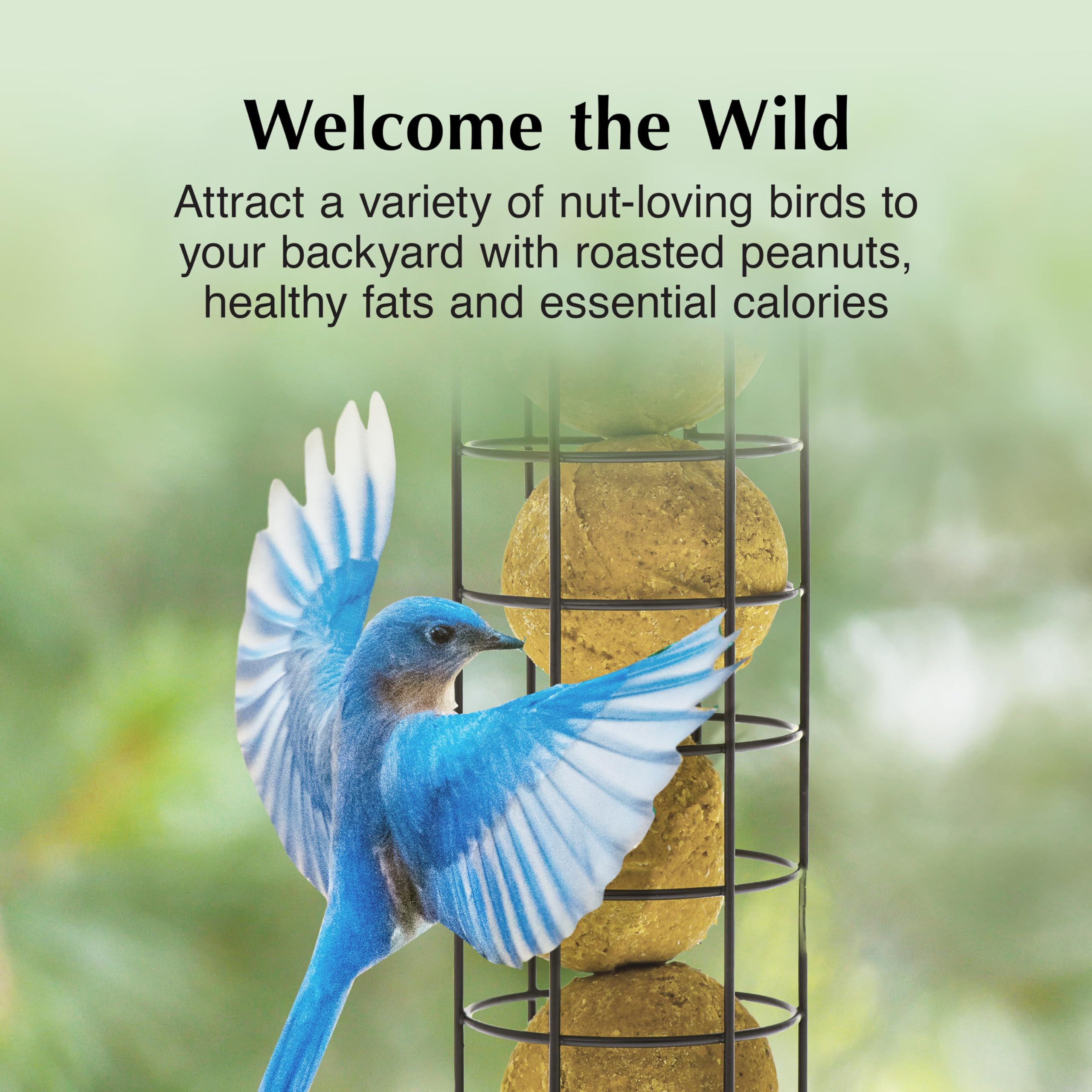 C&S Peanut Delight at feeder attracts nut-loving birds