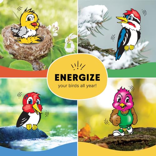 Made in USA C&S Woodpecker Suet Cake trusted by bird lovers.