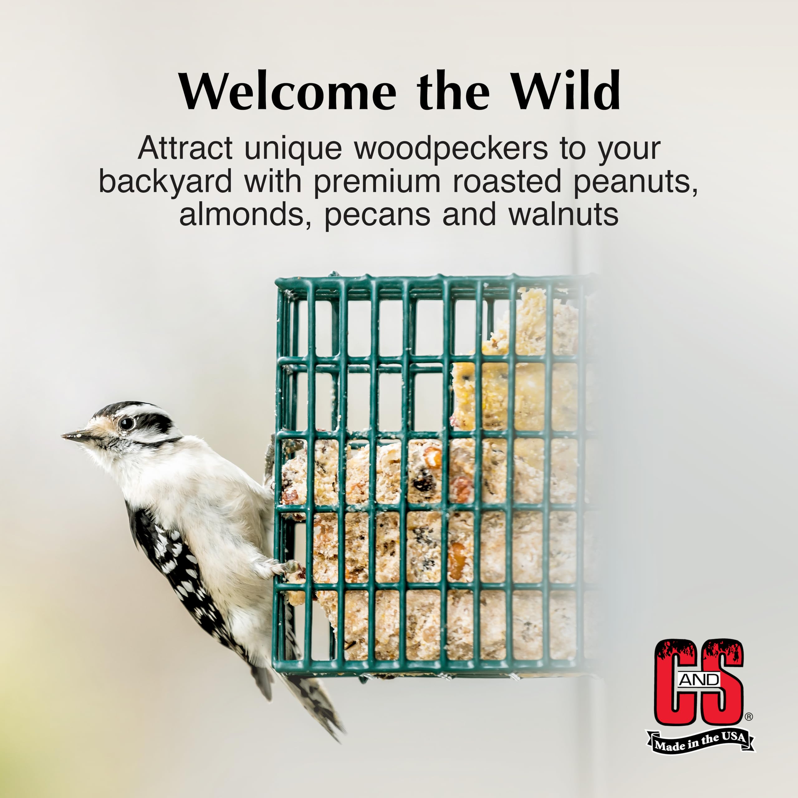 Woodpeckers sampling C&S Suet Cake in a backyard feeder.