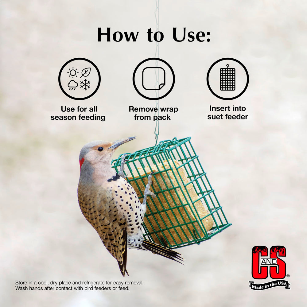 Backyard feeding scene with C&S Woodpecker Suet Cake for year-round energy.