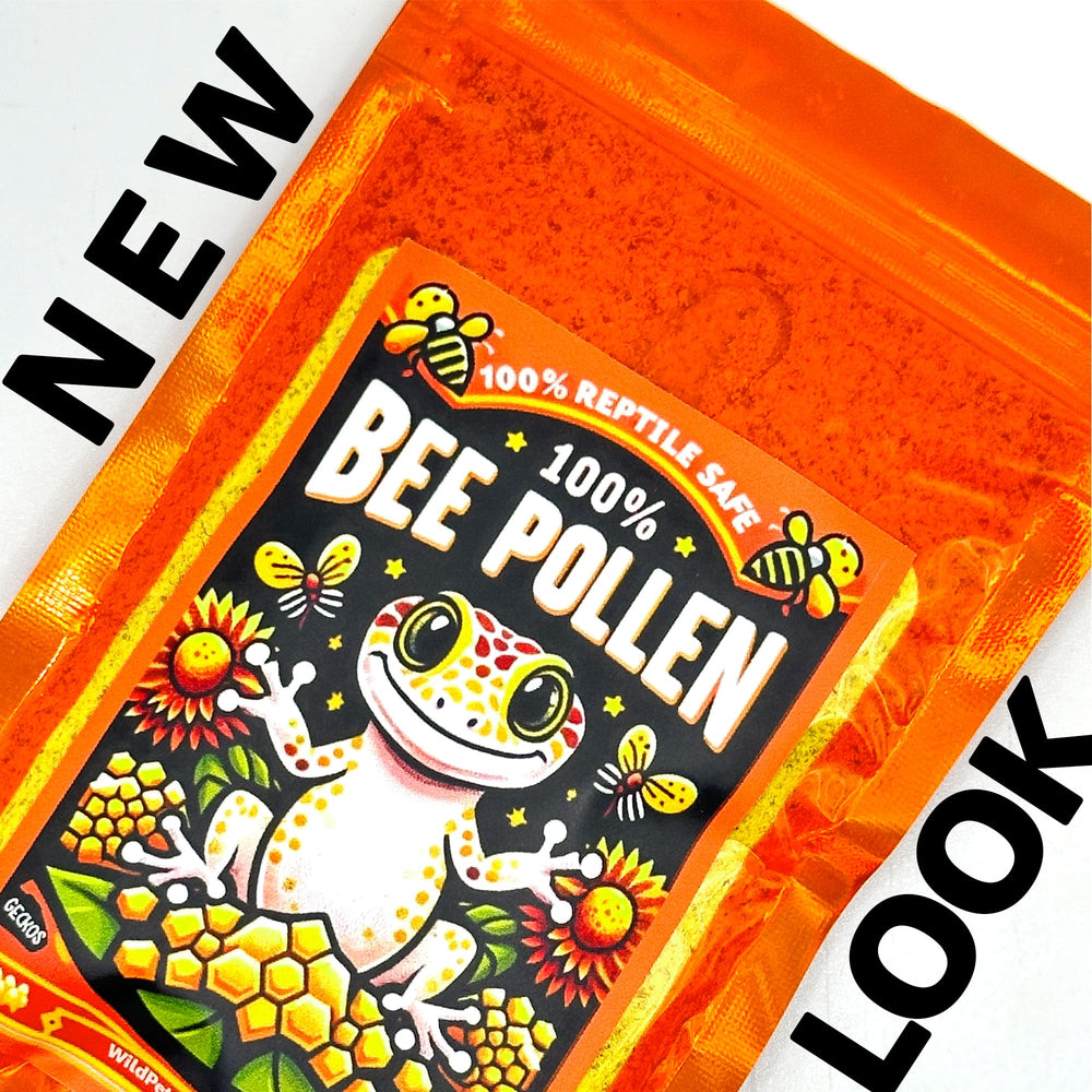 CTWPets bee pollen powder gecko snack ready for feeding.