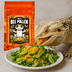 CTWPets bee pollen powder isopod snack option for small crustaceans.