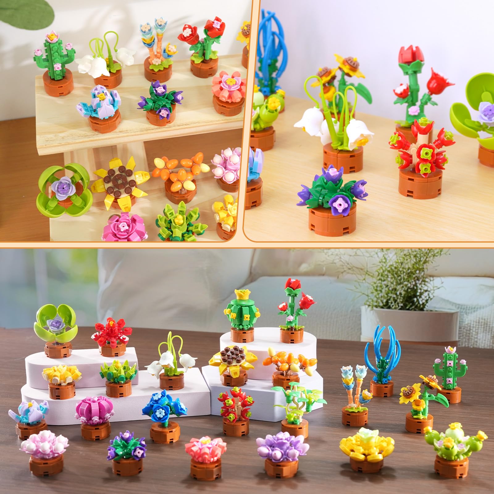 Cubimana classroom prizes featuring mini succulent designs.