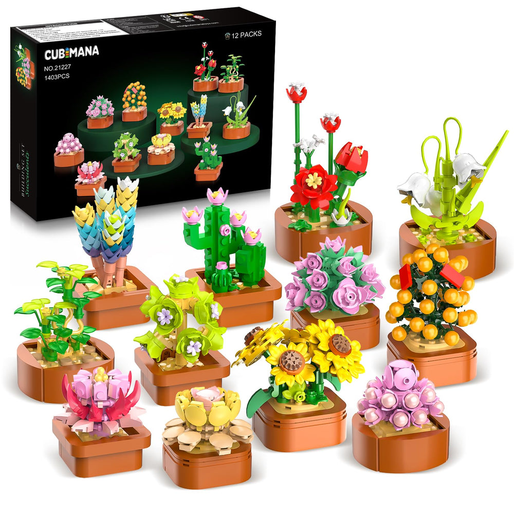 CUBIMANA 12-pack flowers succulents mini set displayed in a vibrant home decor arrangement