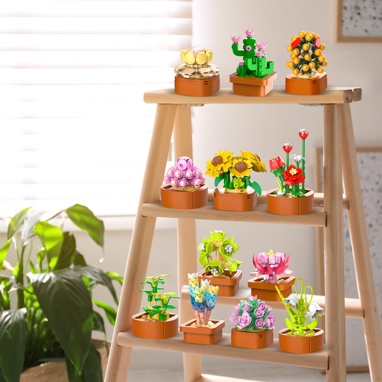 Home office display featuring CUBIMANA succulent arrangements for color and texture