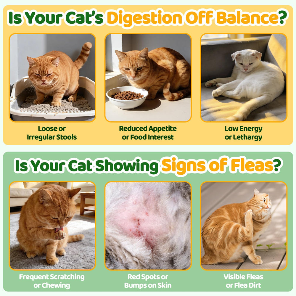 Cudory daily chews fit flea-prone seasons into routine.