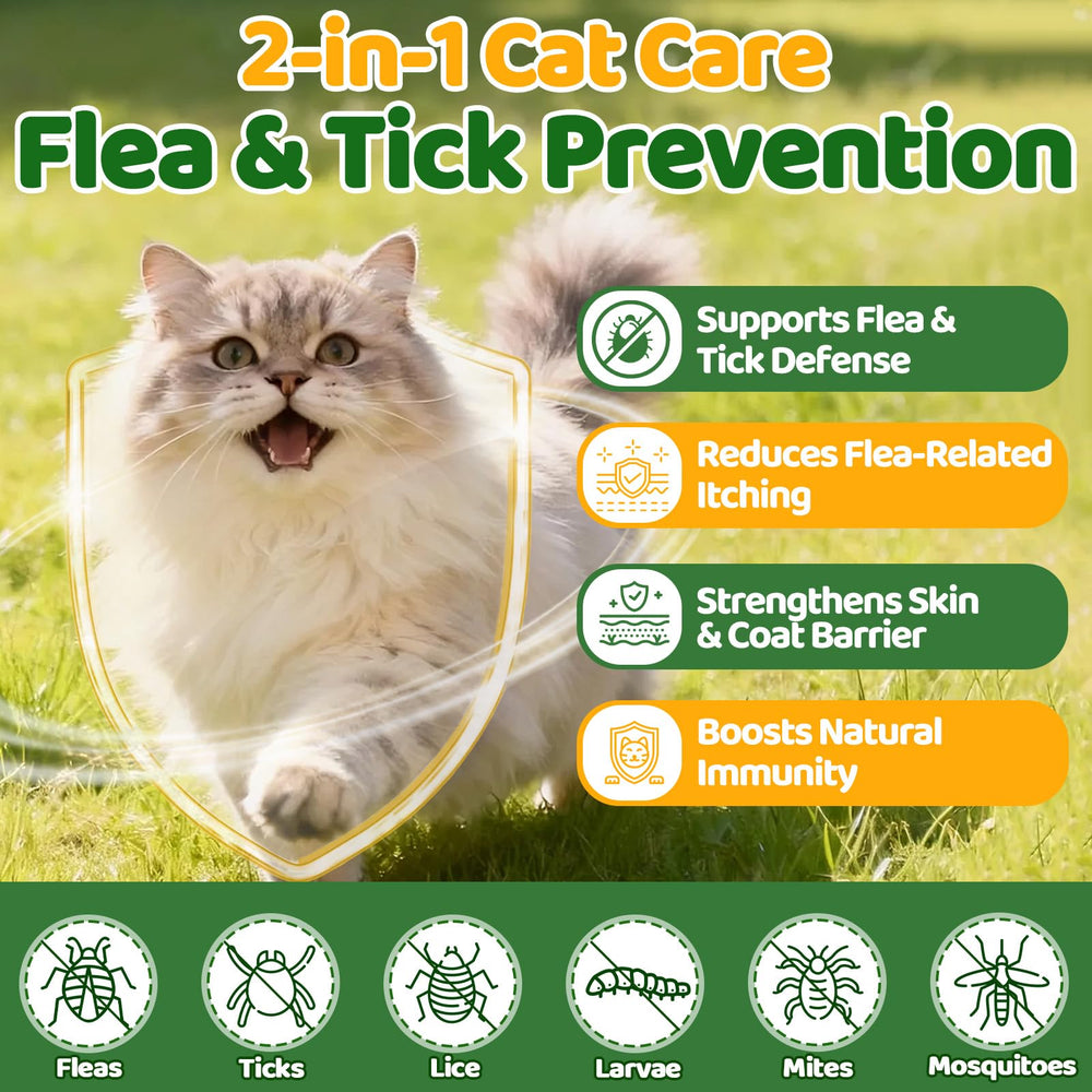 Cudory probiotic chews promote gentle digestion and gut balance in cats.