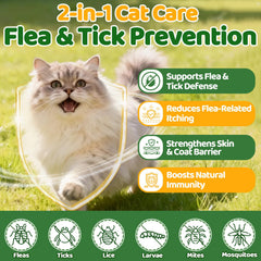 Cudory probiotic chews promote gentle digestion and gut balance in cats.
