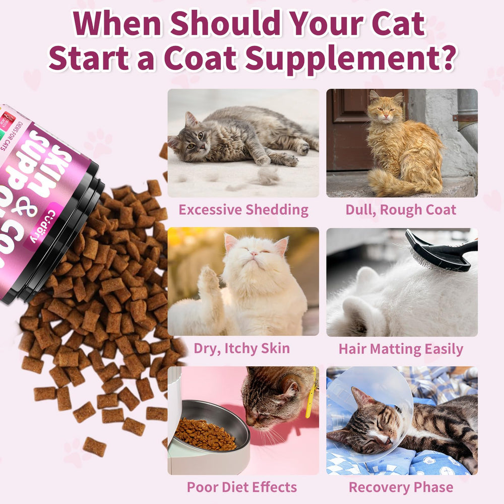 Serving guidance for half to full daily dose of Cudory Omega-3 for Cats
