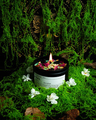 CULACEE fragrance-notes close-up with cedarwood and bergamot uplift