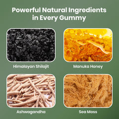 Cured sea moss jar shows rich gel inside for wellness support.