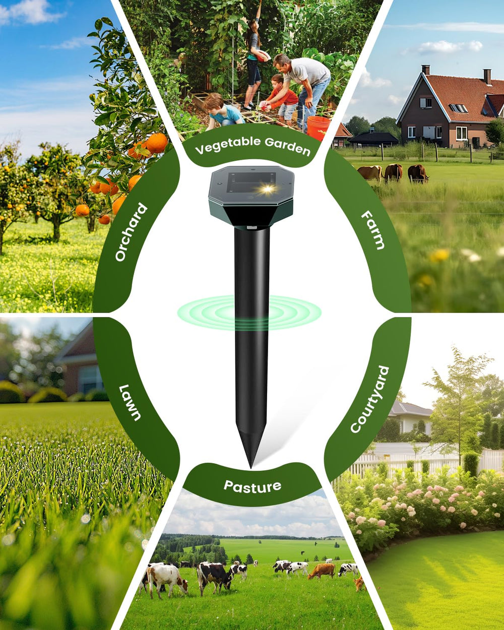 Cvtayn groundhog vole deterrent stakes for easy yard protection