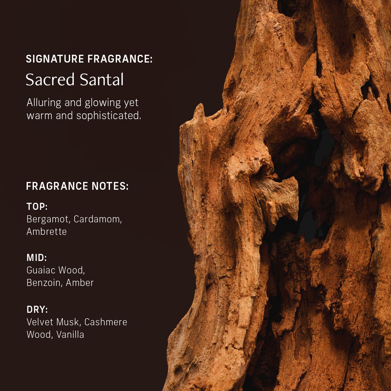CYKLAR Sacred Santal velvet finish after absorption on skin
