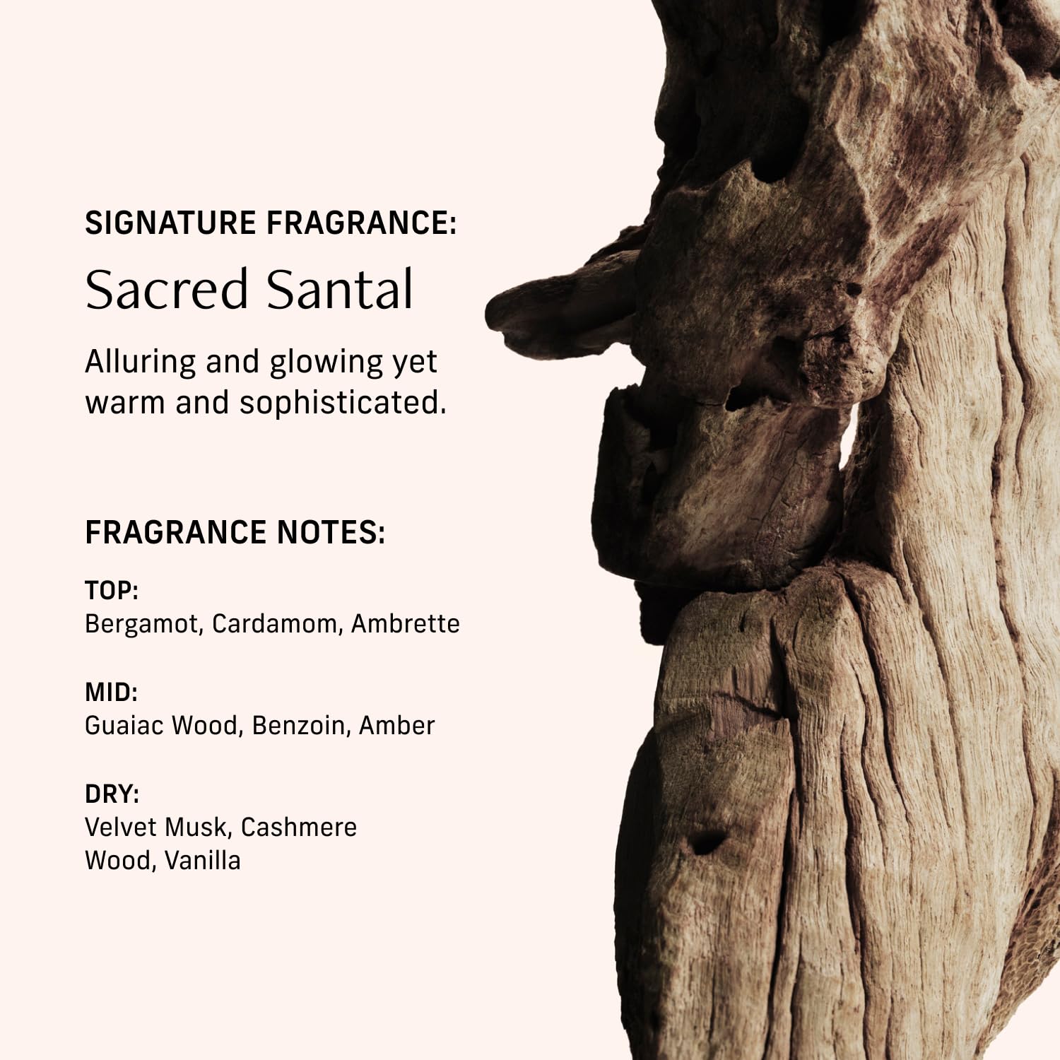 CYKLAR Sacred Santal close-up highlighting sandalwood and amber warmth.
