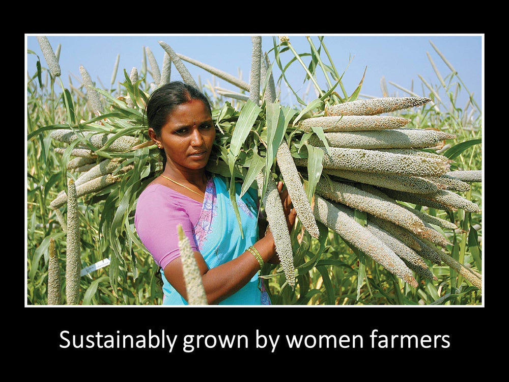 DAANA sesame oil eco-friendly fair trade packaging supports sustainable farming.
