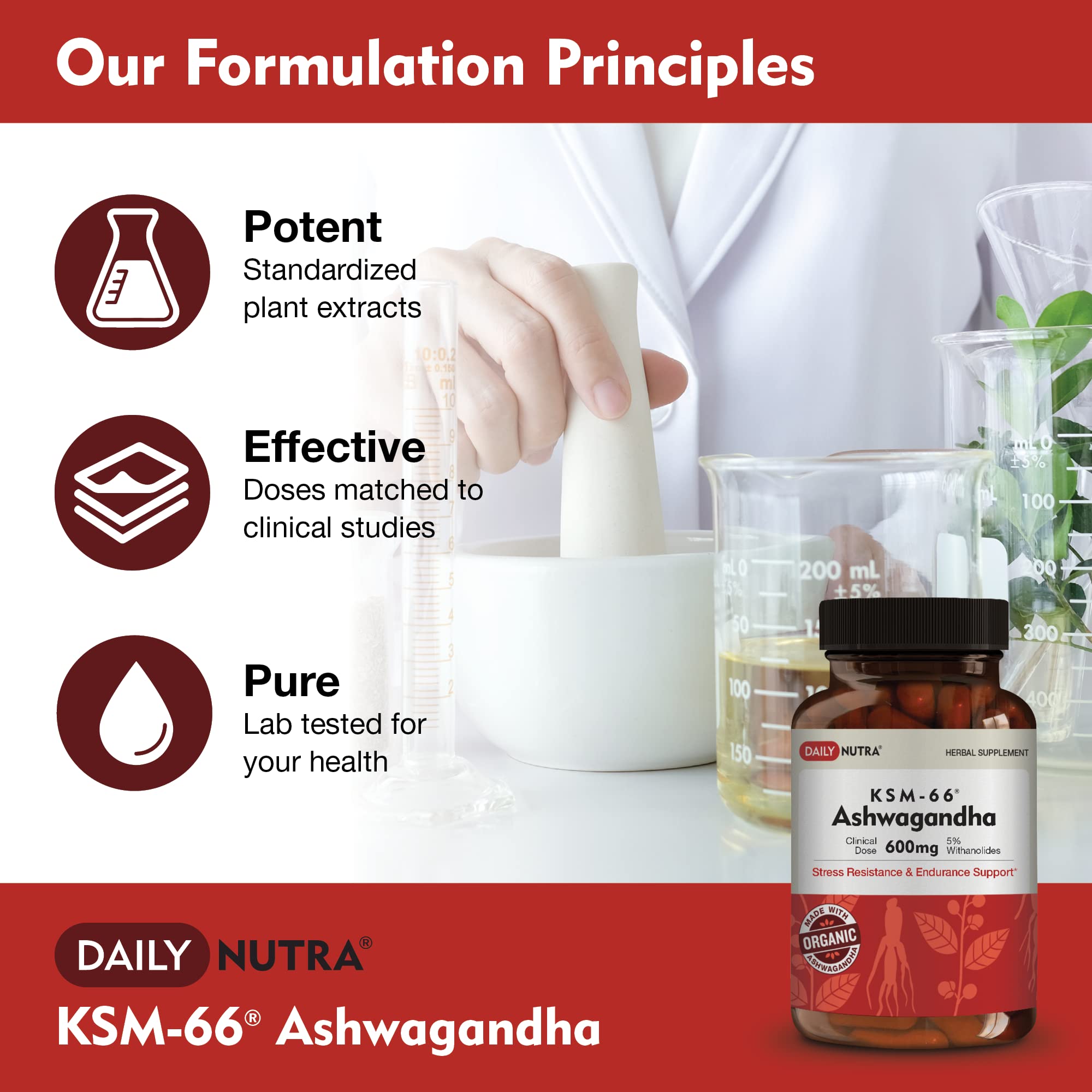 DailyNutra KSM-66 organic root detail showcasing certified organic source