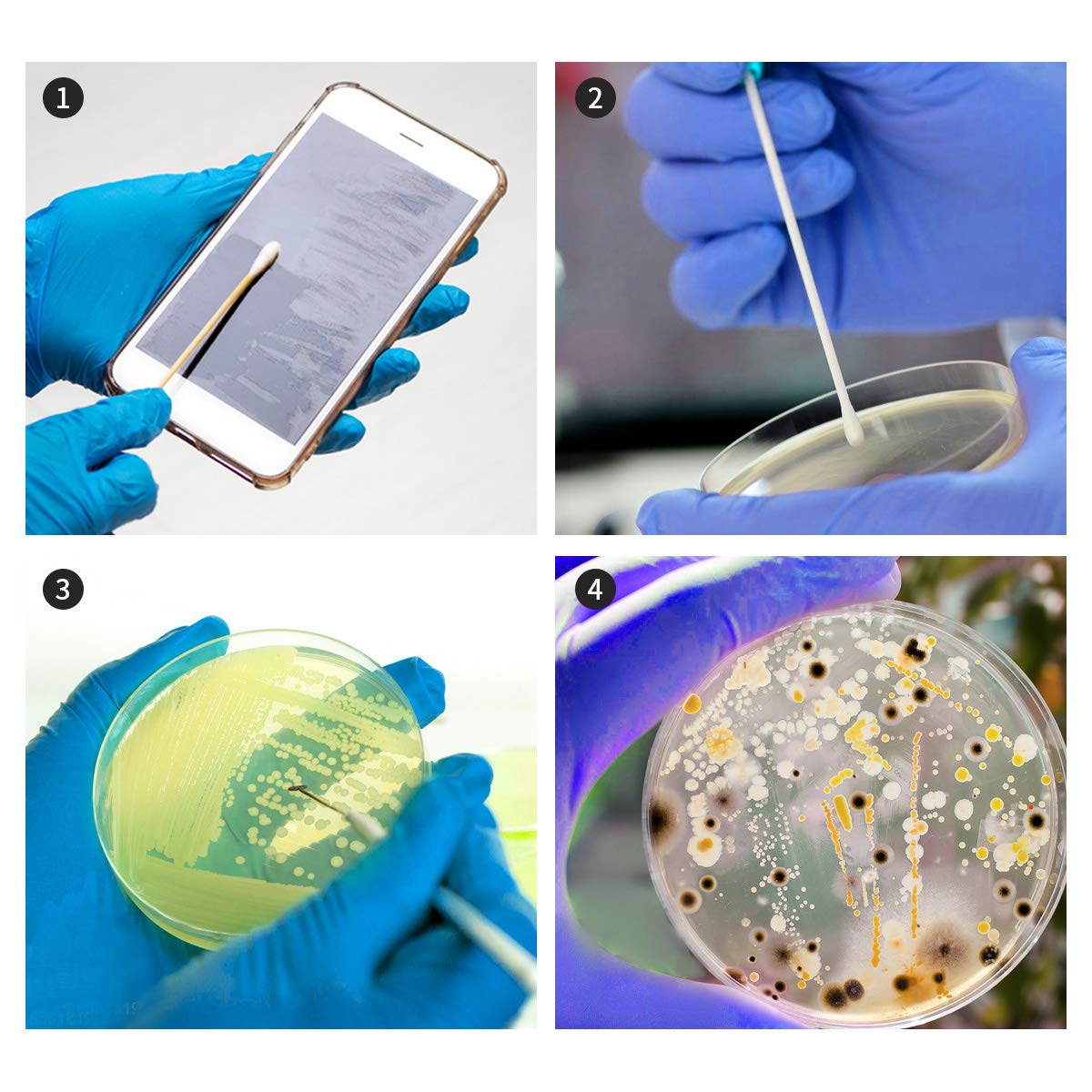 DalosDream plastic-droppers: precise liquid handling for experiments.