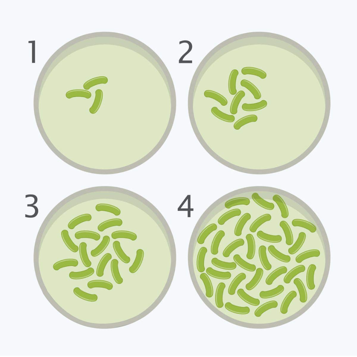 DalosDream sterile-swabs: clean sampling tools for easy swabbing.