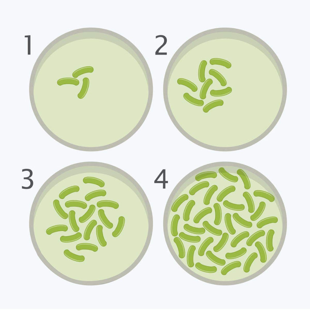 DalosDream sterile-swabs: clean sampling tools for easy swabbing.