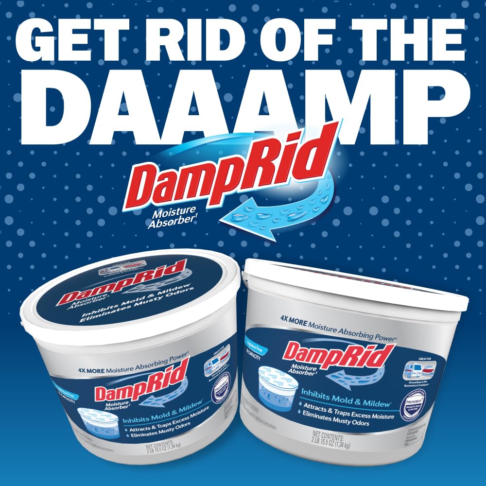 DampRid 2-pack strips plus bucket simplify setup and maintenance