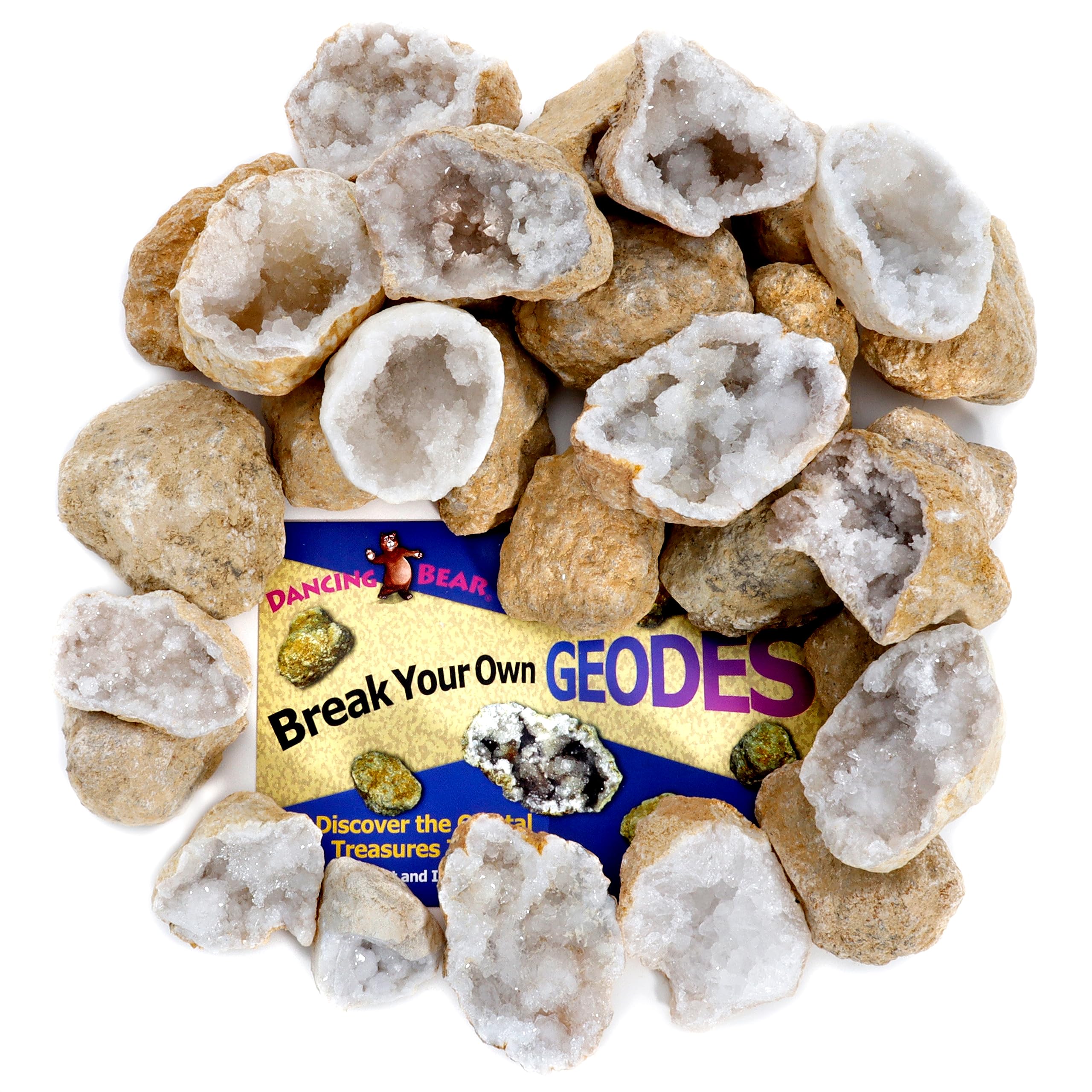 DANCING BEAR geode party favors great prizes for events