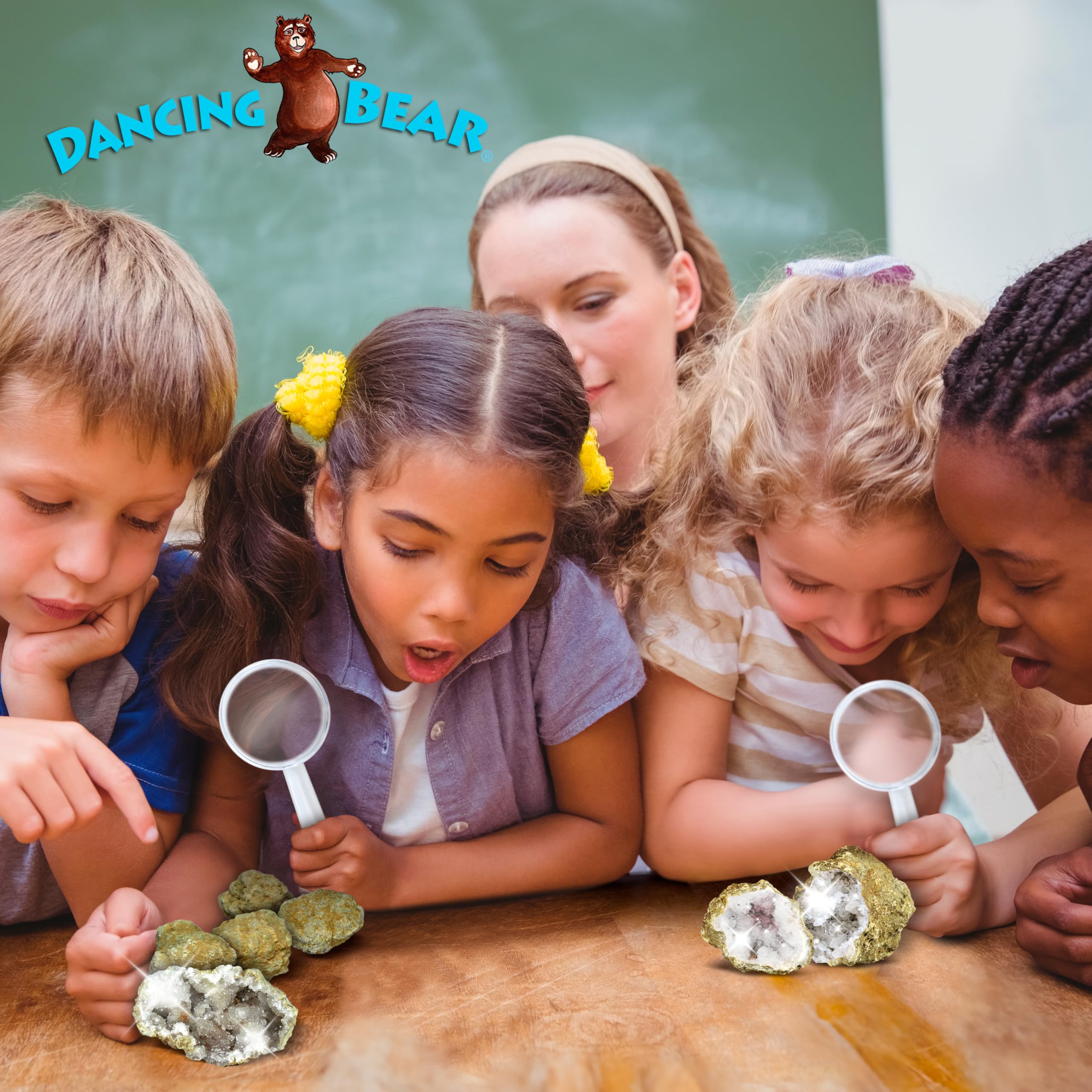 DANCING BEAR medium geodes 1-5 inch easy-to-open for quick discoveries