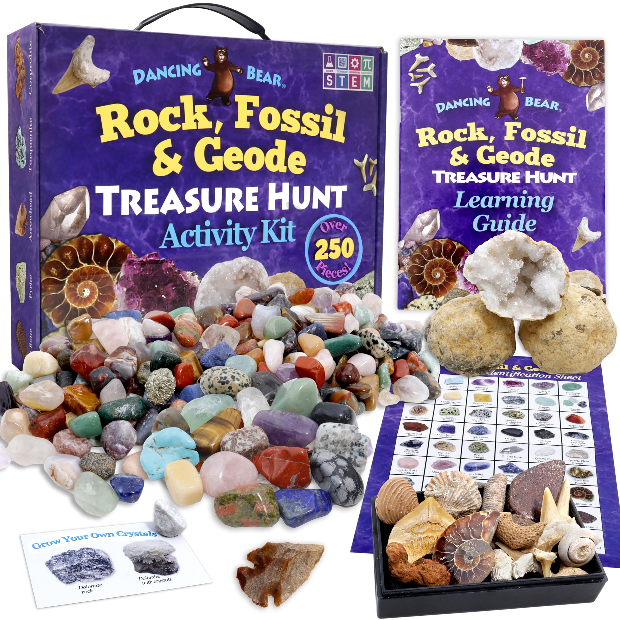 Dancing Bear Rock Hunt Kit cover for hands-on exploration.