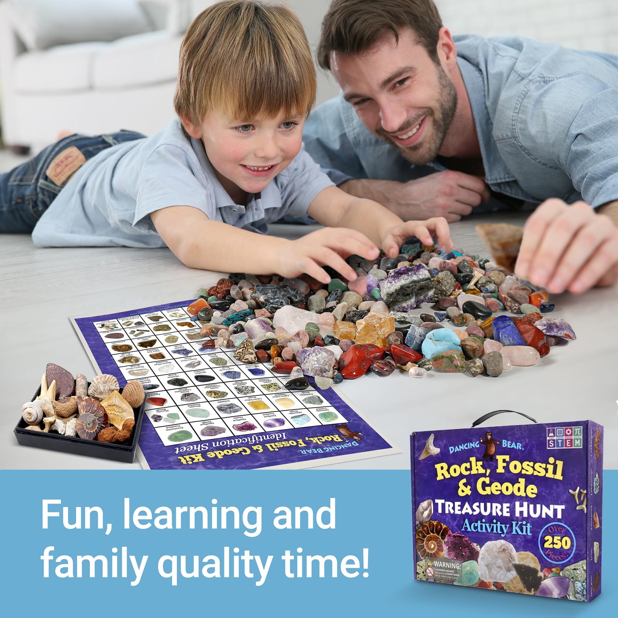 Dancing Bear shark teeth fossils for engaging paleontology-inspired play.