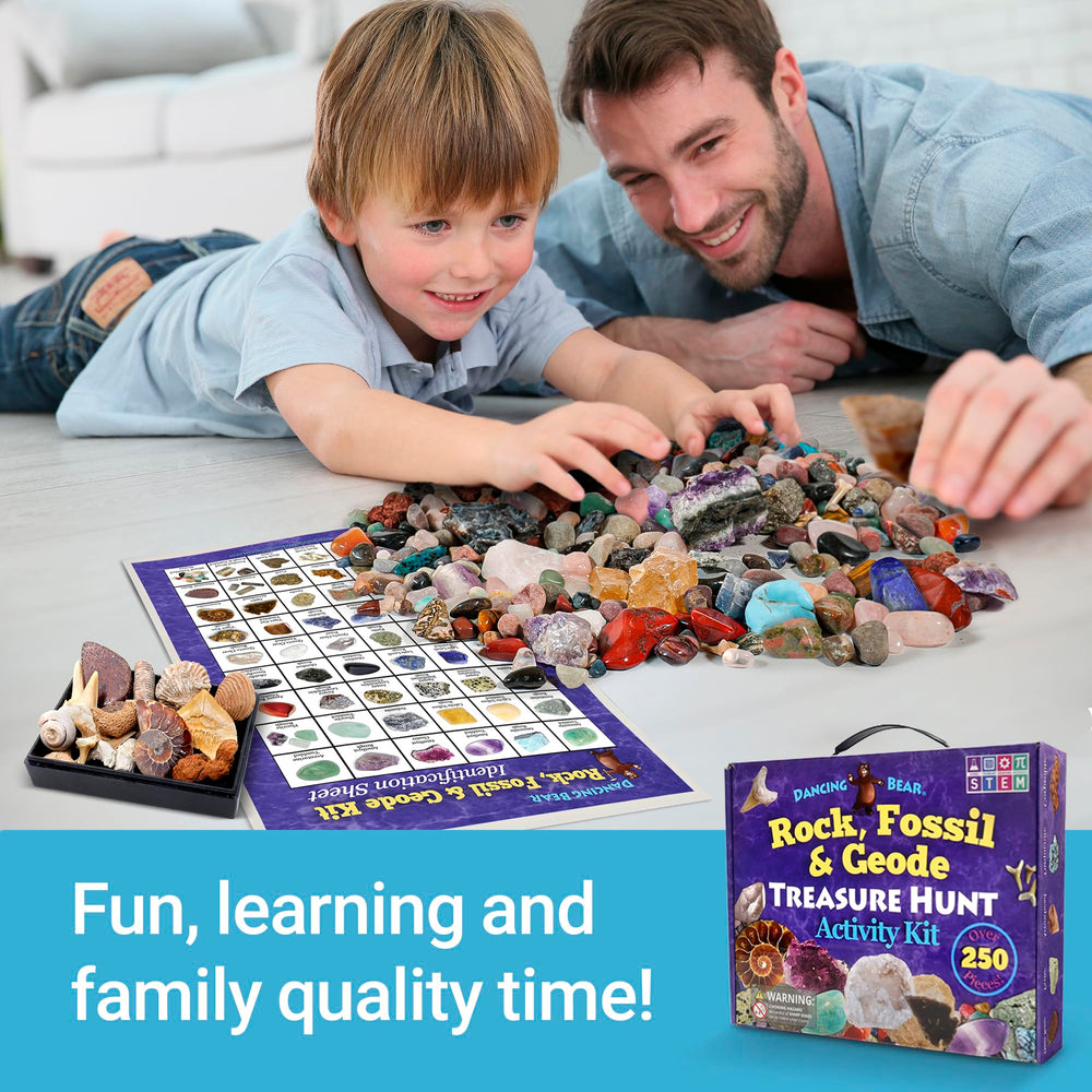 Dancing Bear shark teeth fossils for engaging paleontology-inspired play.