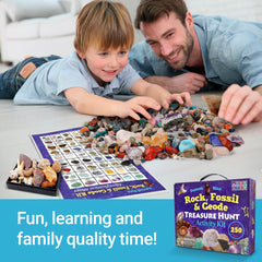 Dancing Bear shark teeth fossils for engaging paleontology-inspired play.