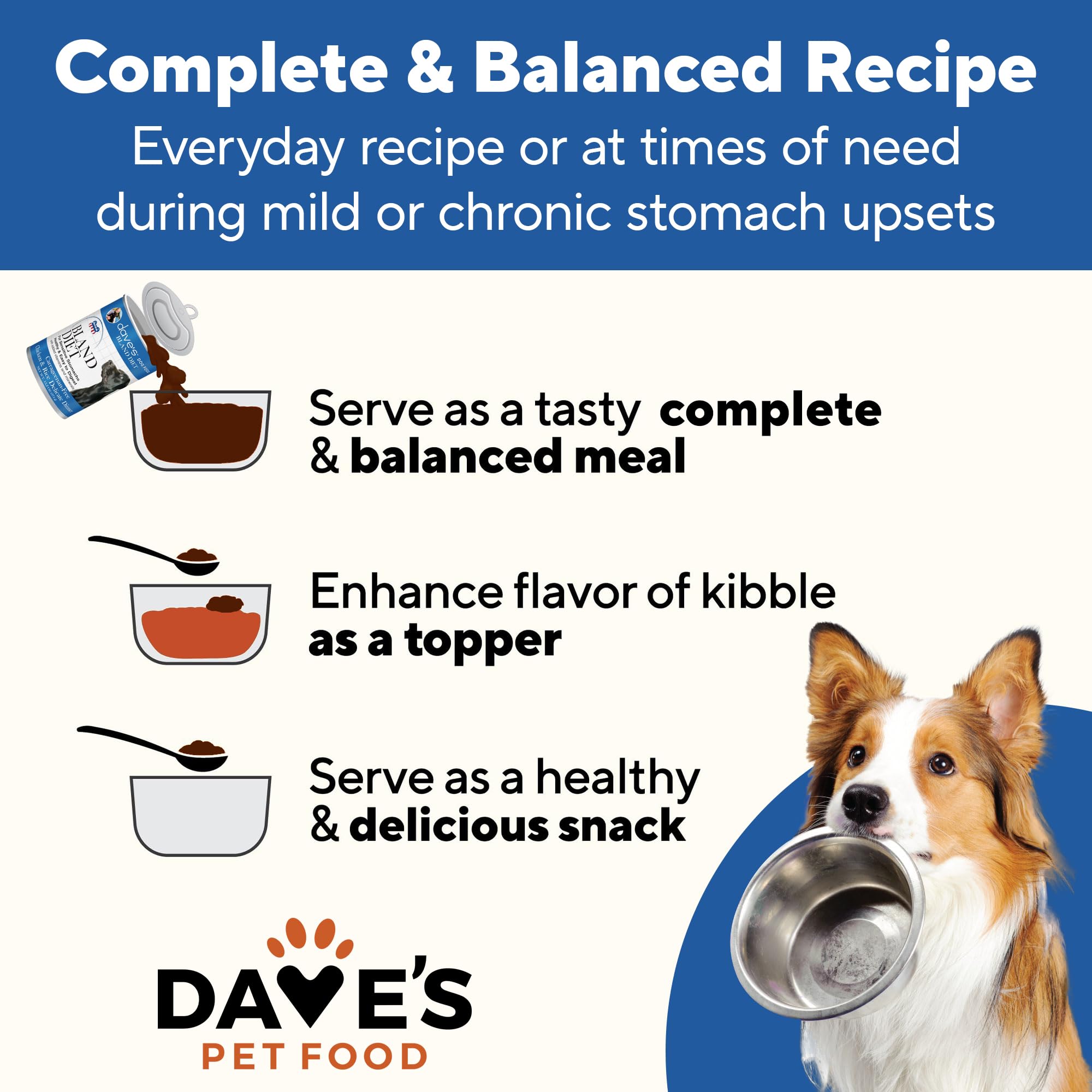 Dave's Pet Food Bland Diet case pack image showcases value and reliability for families.