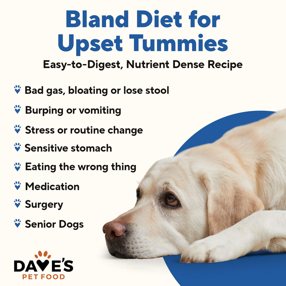 Dave's Pet Food Bland Diet can label highlights limited ingredients and gluten-free options.