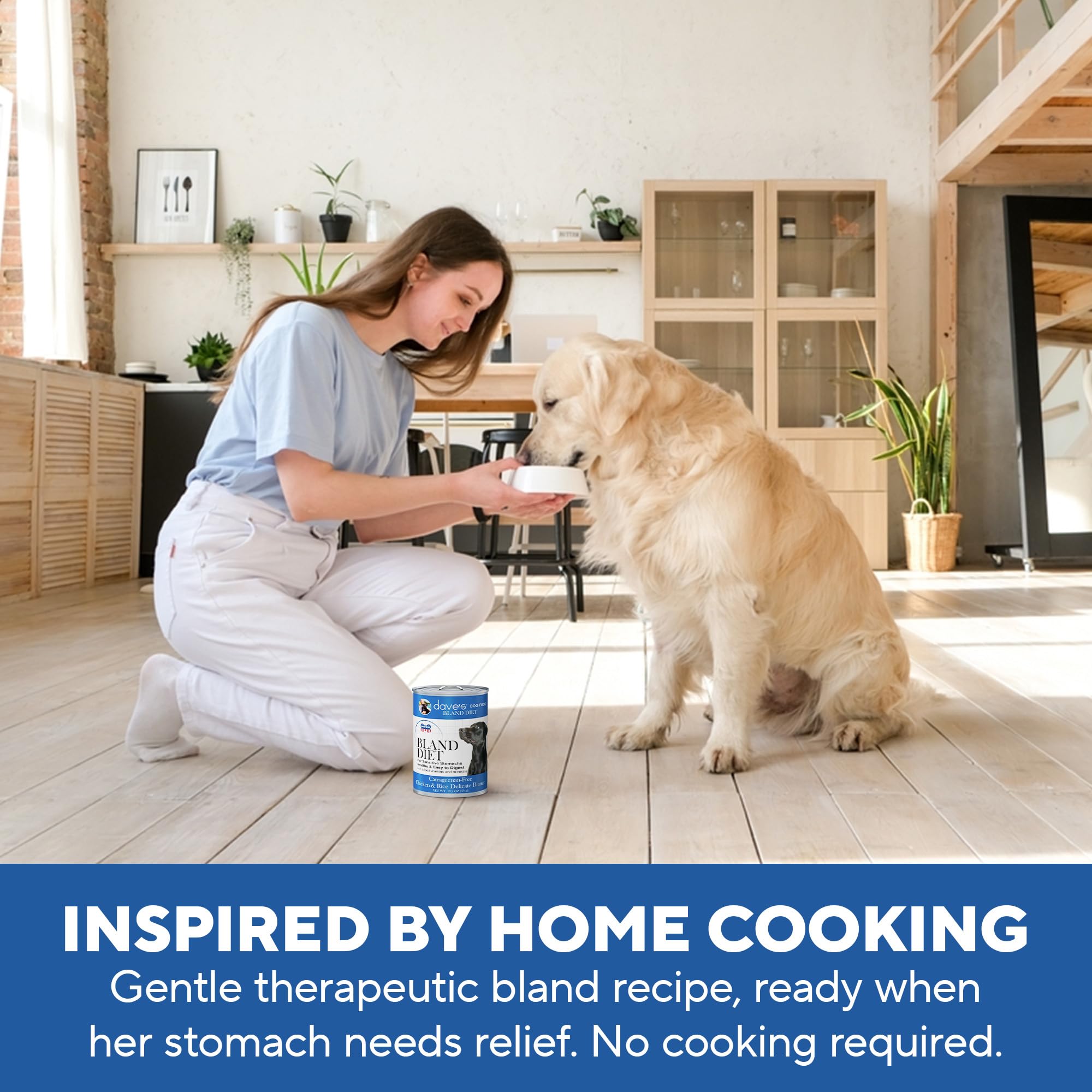 Dave's Pet Food Bland Diet can image evokes veterinarian-recommended calm stomach support.