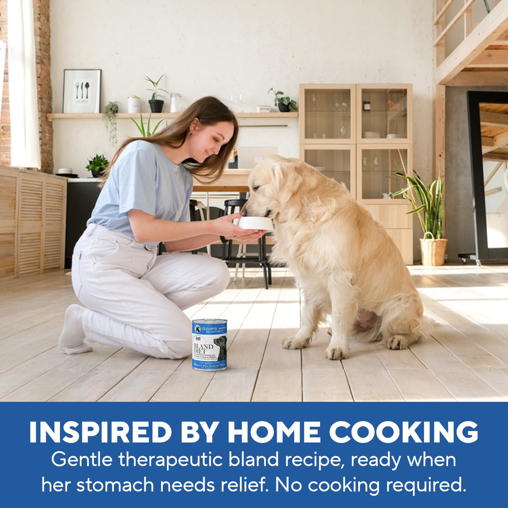 Dave's Pet Food Bland Diet can image evokes veterinarian-recommended calm stomach support.