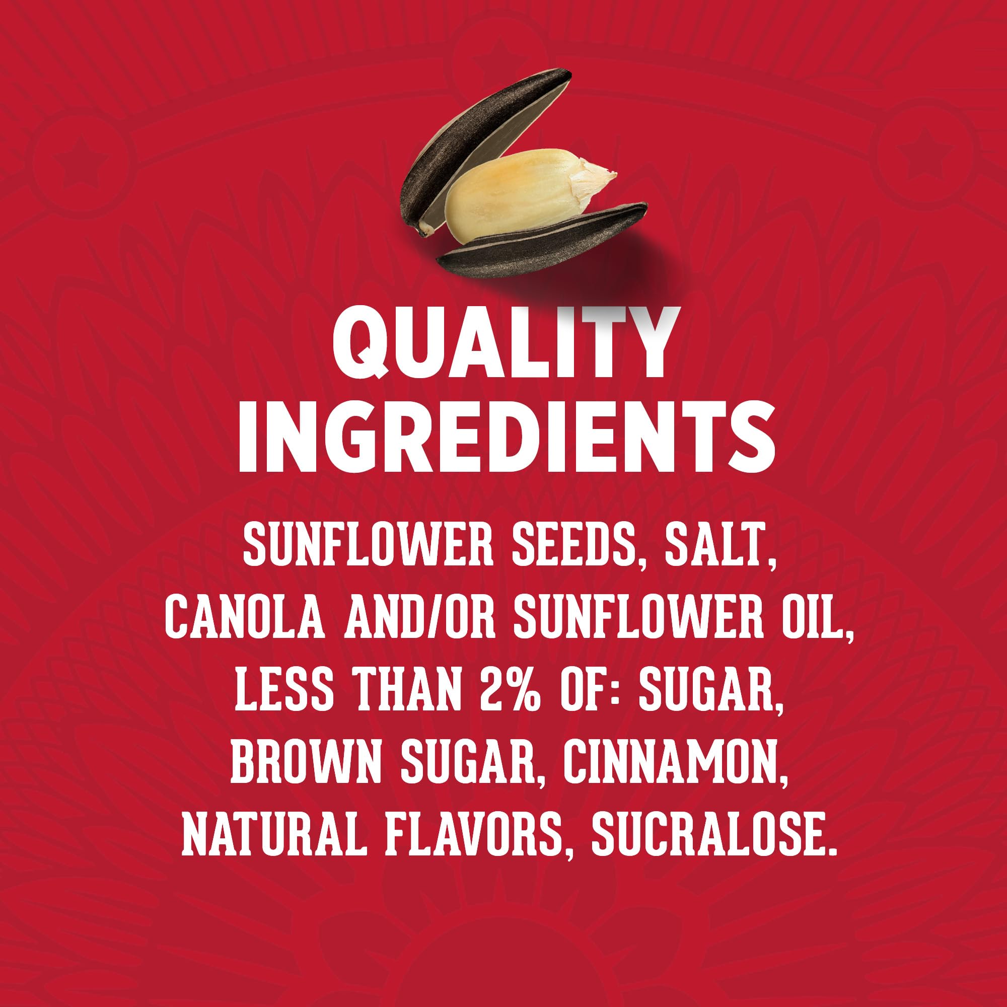 DAVID Cinnamon Churro Sunflower Seeds travel-friendly pack for on-the-go snacking