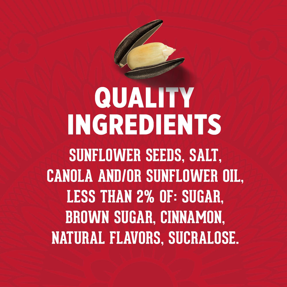 DAVID Cinnamon Churro Sunflower Seeds travel-friendly pack for on-the-go snacking