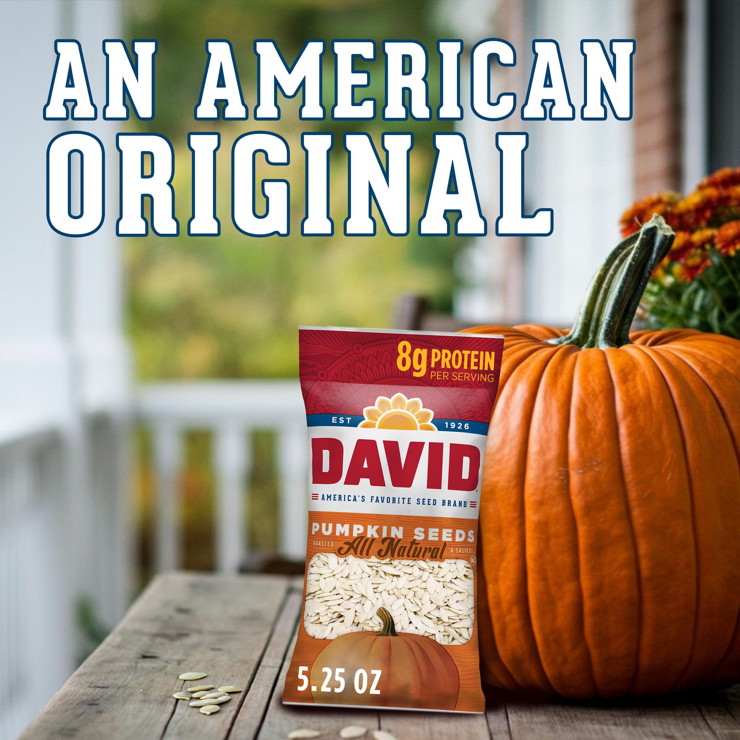 High-protein snack option with minerals for desk, gym, or hike.