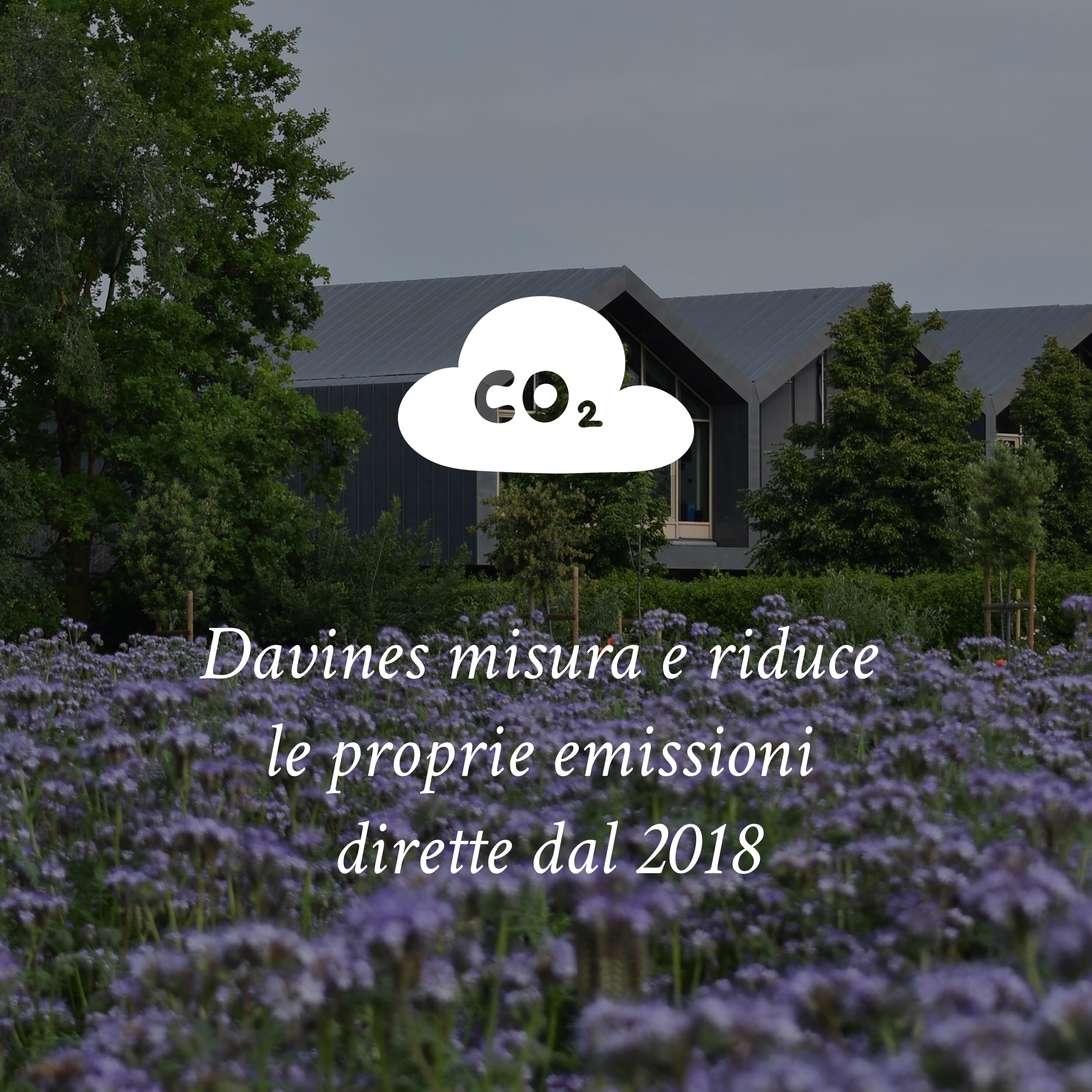Davines OI Conditioner travel-size bottle stored in a bag.