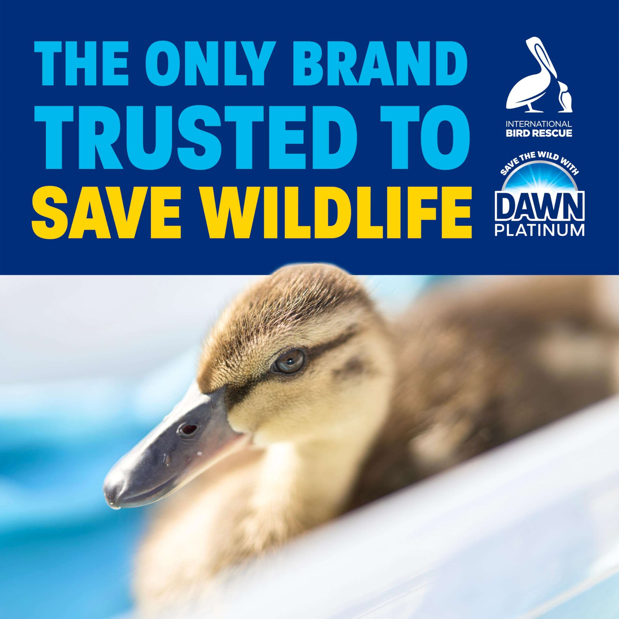 Dawn Platinum trusted by rescue workers for safe wildlife cleaning.