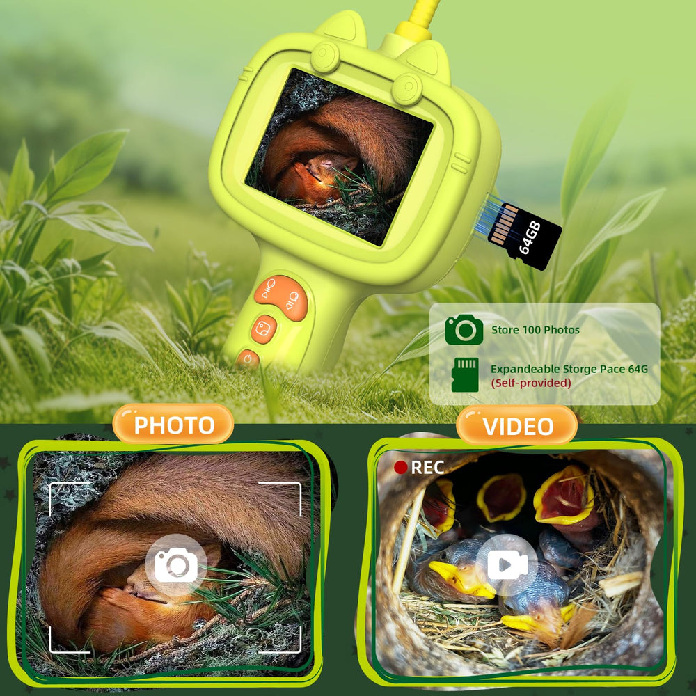 Daxiongmao borescope observes ant tunnels and underground activity.