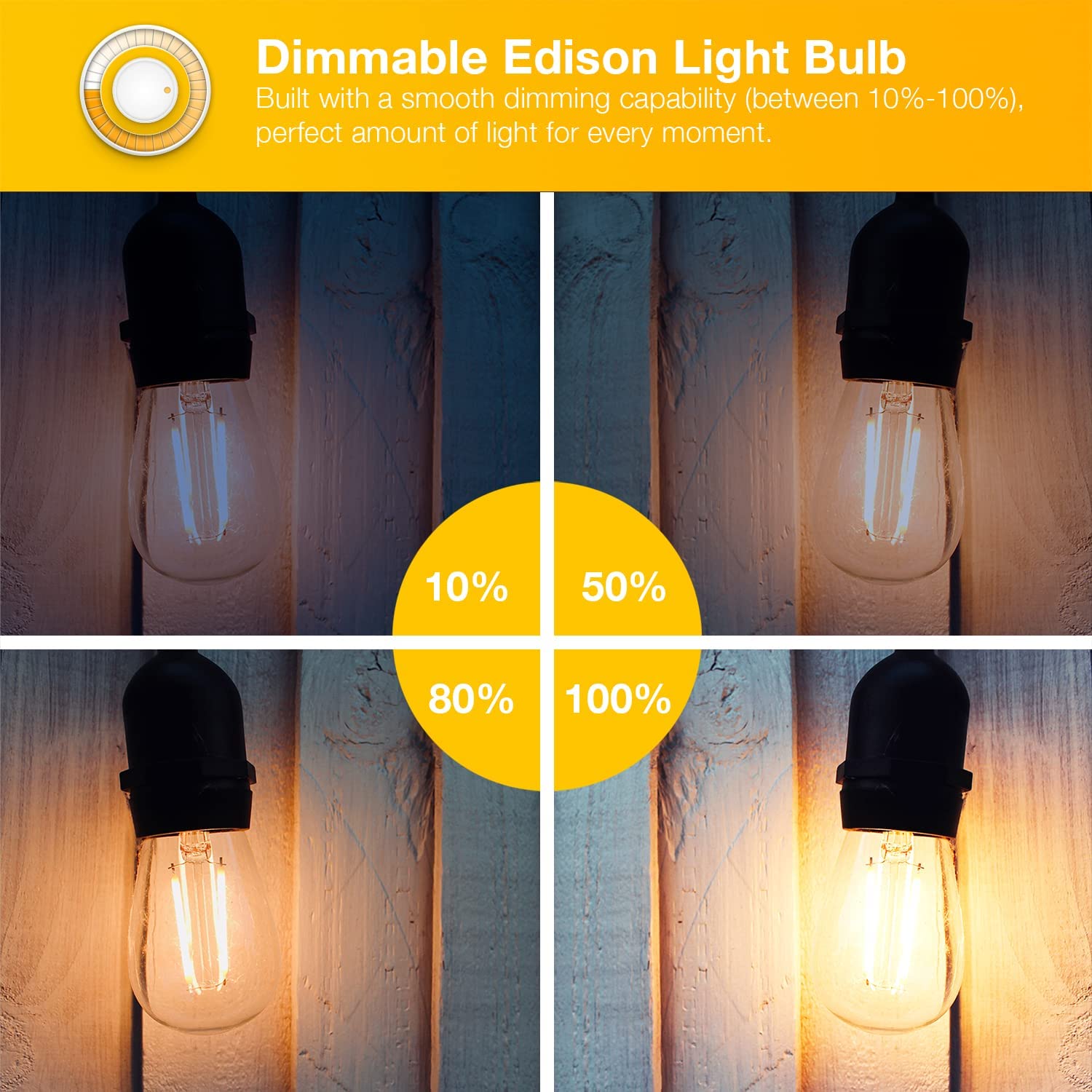DAYBETTER Edison bulbs in clear glass showcase warm 2700K glow.