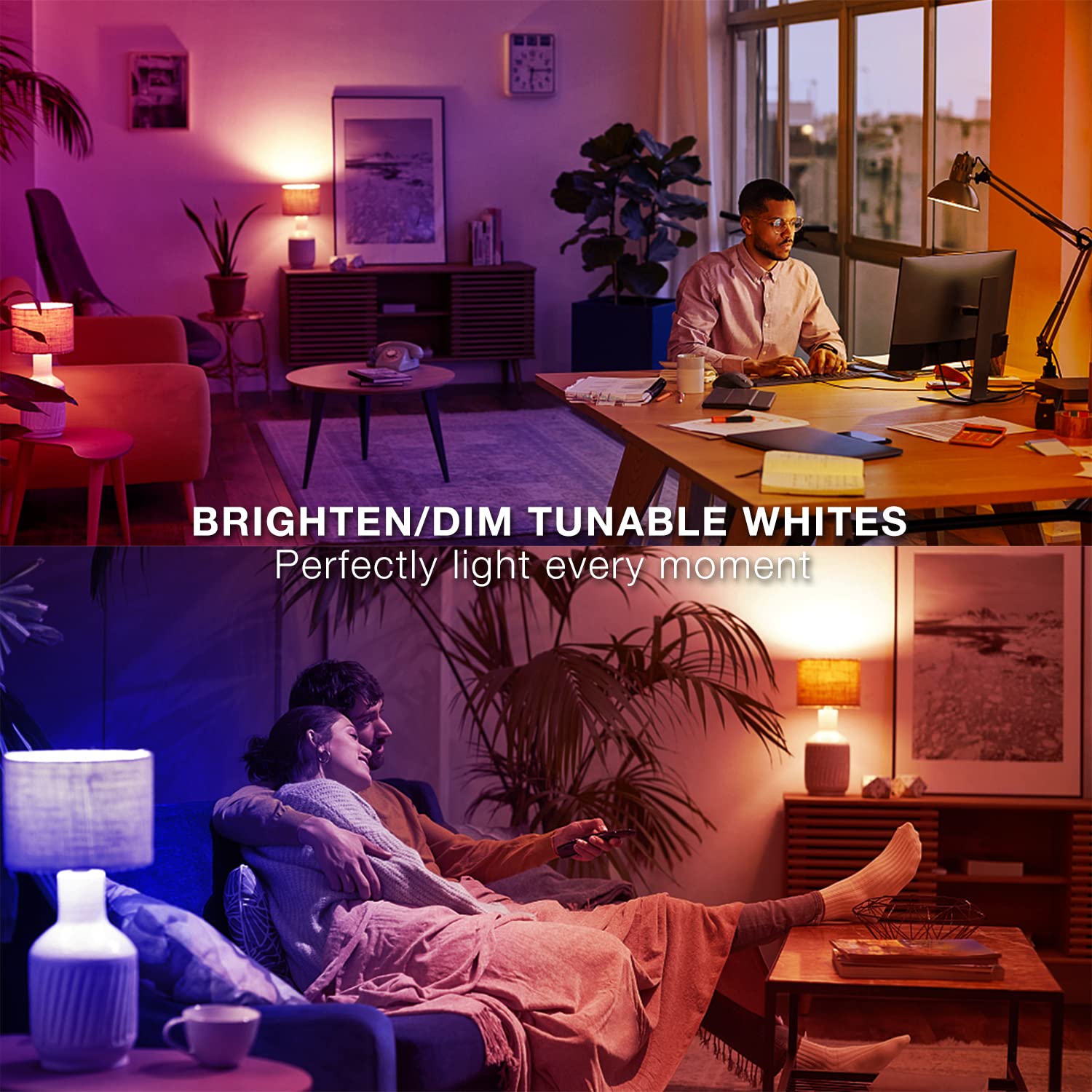 Schedule DAYBETTER bulbs to turn on or off automatically