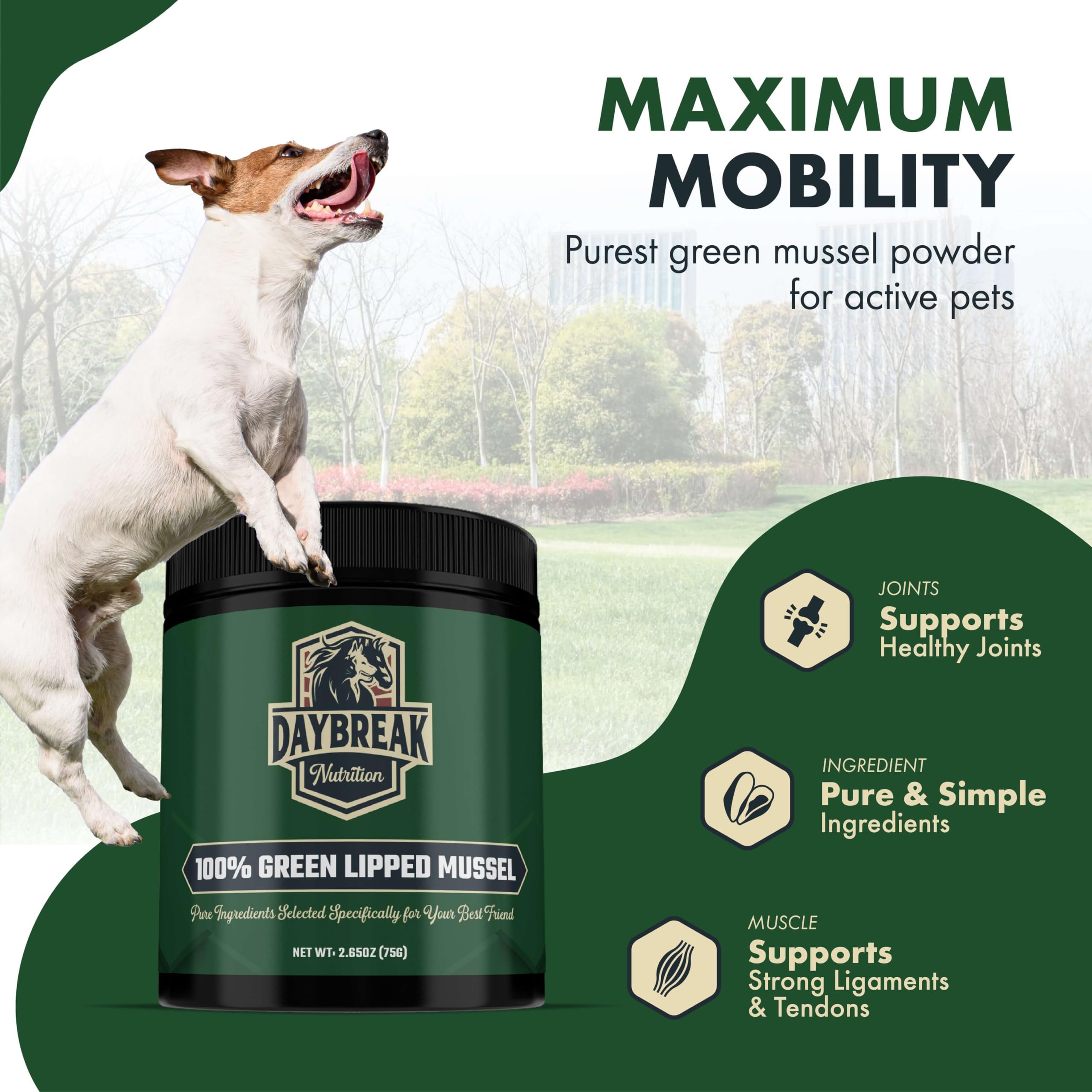 Pour Daybreak mussel powder into meals for daily joint comfort.