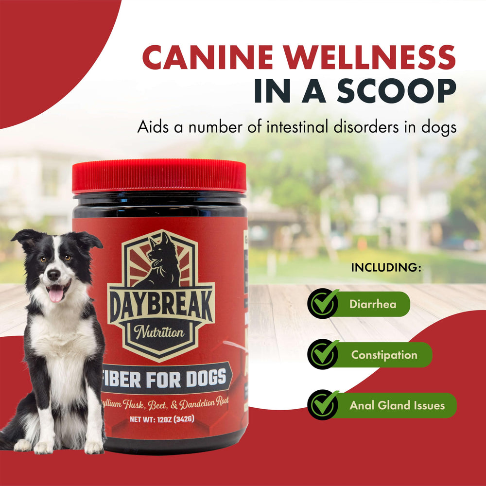 Daybreak Nutrition Fiber for Dogs all-natural ingredients emphasizing soy-free formula.