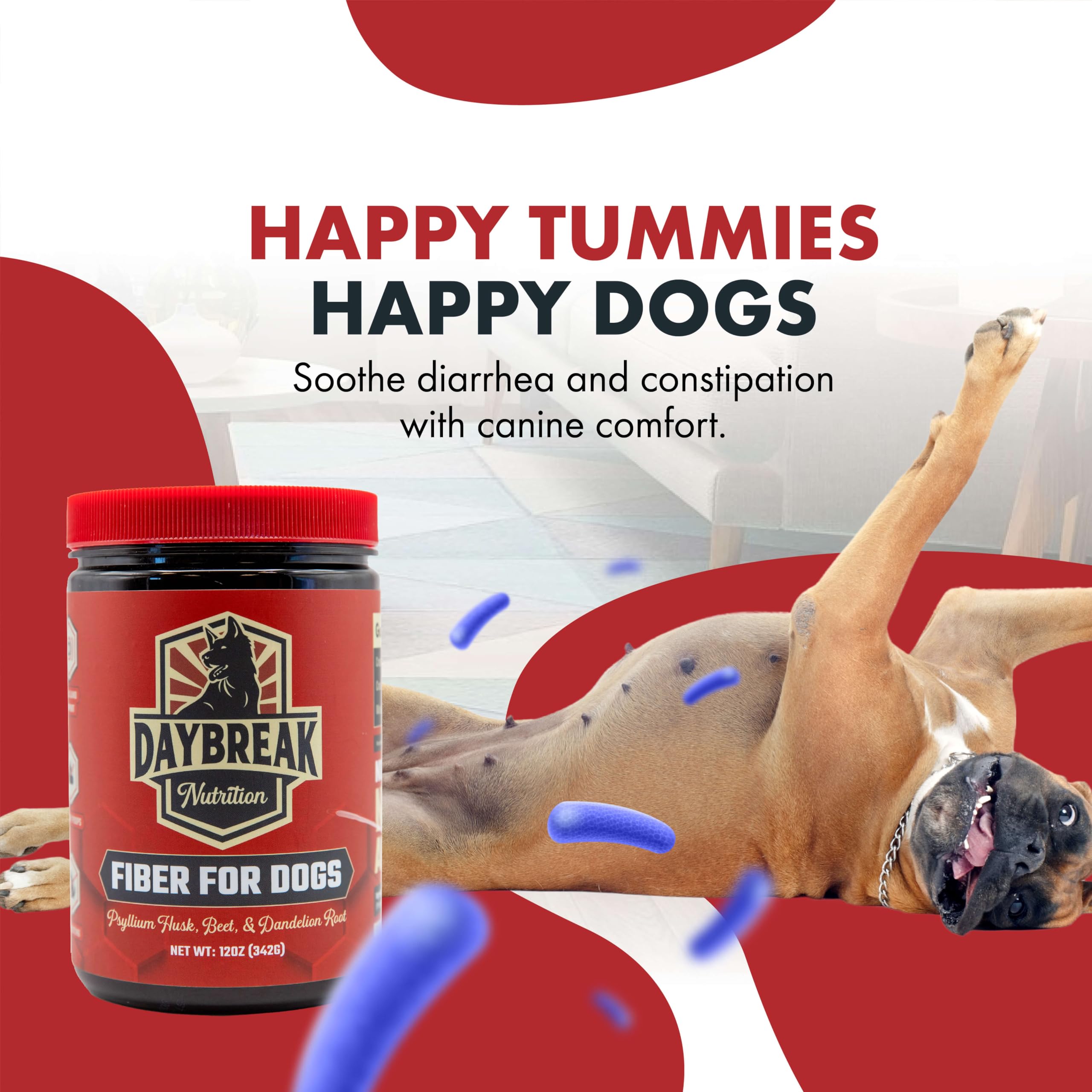 Daybreak Nutrition Fiber for Dogs dandelion root and prebiotics promote gut balance.
