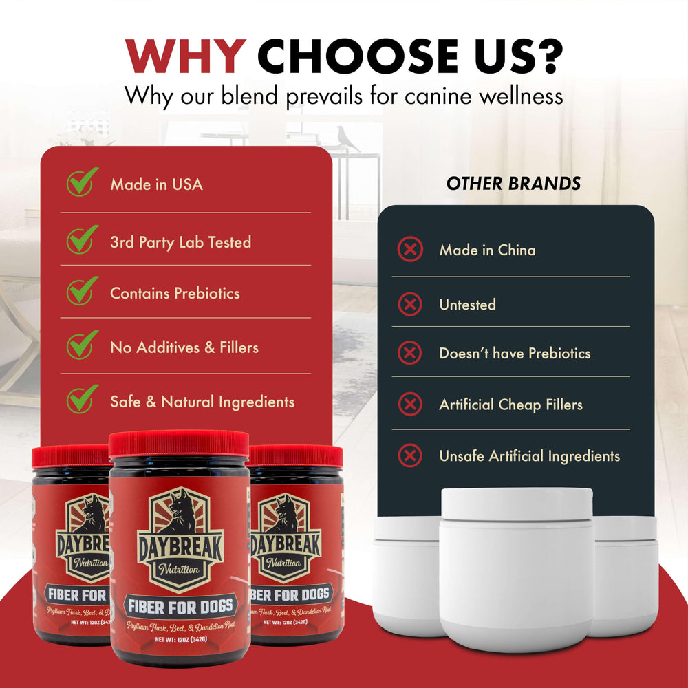 Daybreak Nutrition Fiber for Dogs in a dog bowl while being mixed into meals.