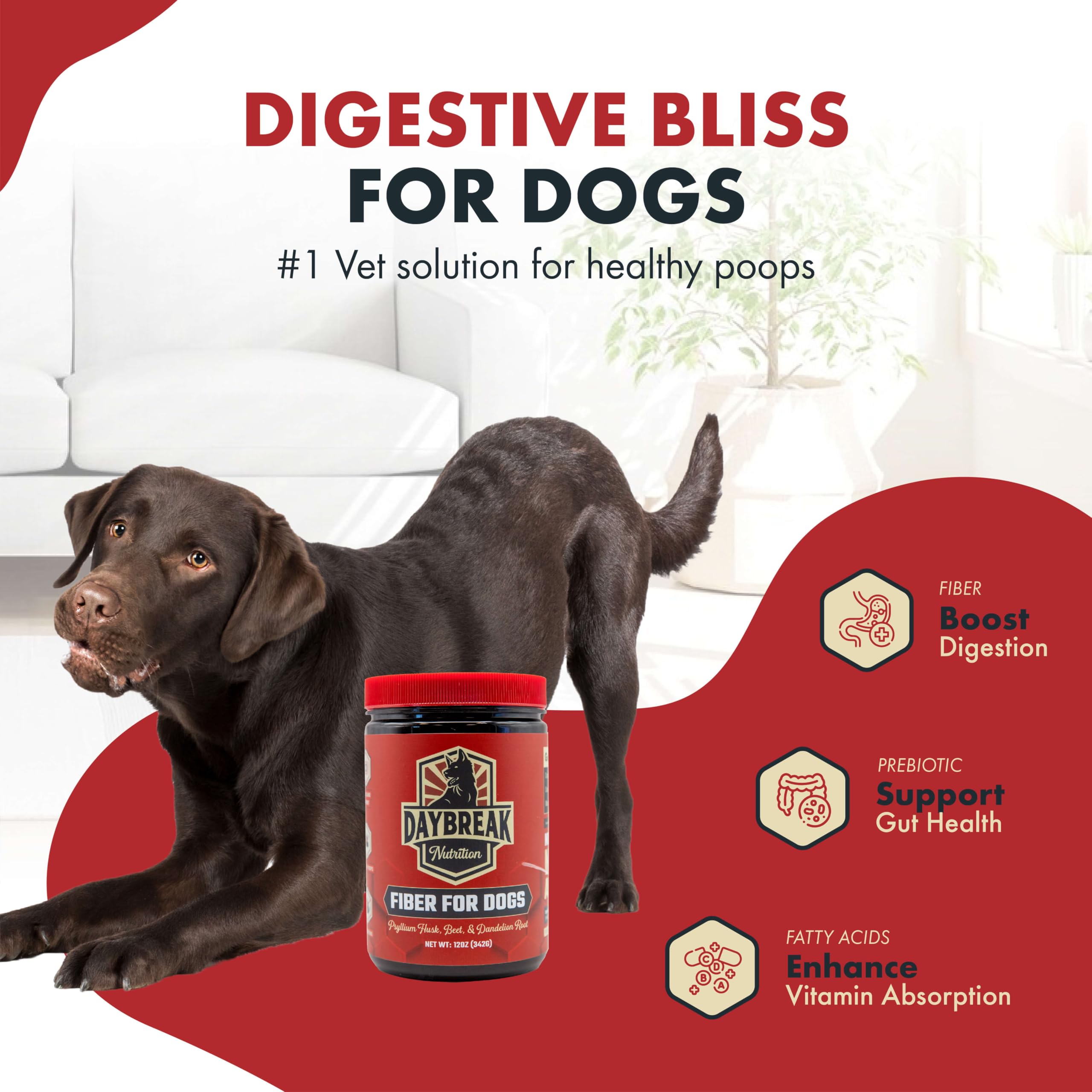 Daybreak Nutrition Fiber for Dogs measuring spoon for consistent dosing.