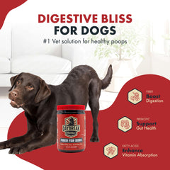Daybreak Nutrition Fiber for Dogs measuring spoon for consistent dosing.