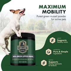 Powder being mixed into a dog's meal for mobility support with Daybreak Nutrition.